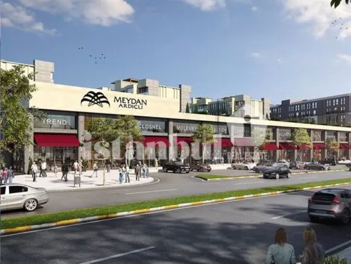 Invest in flats in Meydan Ardicli