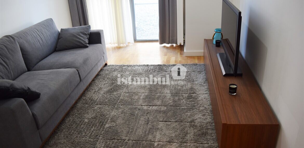 Seba Flats real photos apartment real estate for sale in Kâğıthane Istanbul turkey real estate for sale and citizenship Living Room -2