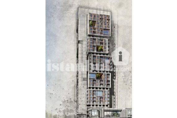 Nef Basin Express 36