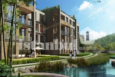 ميسا أورمان