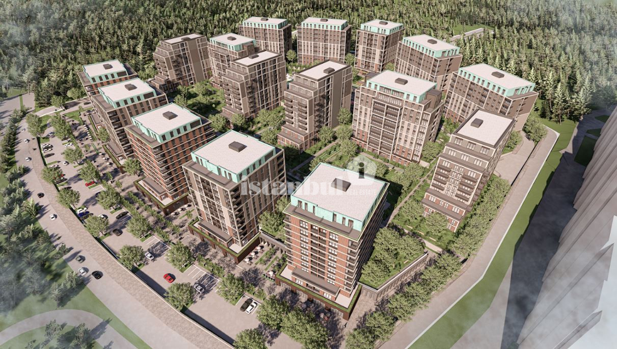 Why Foreign Investors